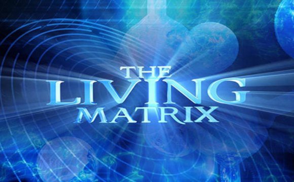 The Living Matrix - The