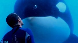 Blackfish-documentary