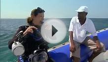 BBC animal documentary 2015 with Andrea Queen of Mantas