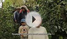 Trailer Film Dokumenter: Biji Kopi Indonesia {Aroma of