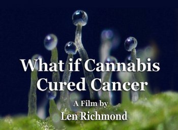 What If Cannabis Cured Cancer Film Free