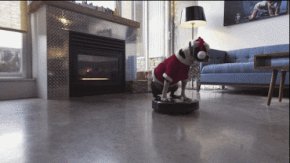 roomba