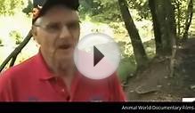 Giant Birds Nature Full Documentary - Animal World
