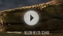 Planet Dinosaur Episode 5 "New Giants" - BBC Documentary